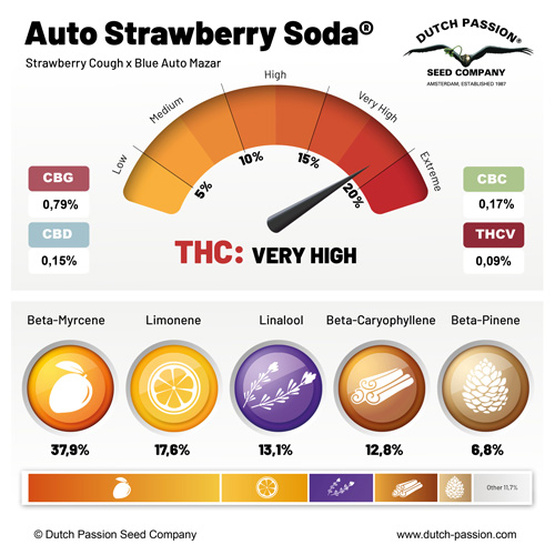 Auto strawberry soda terpenes